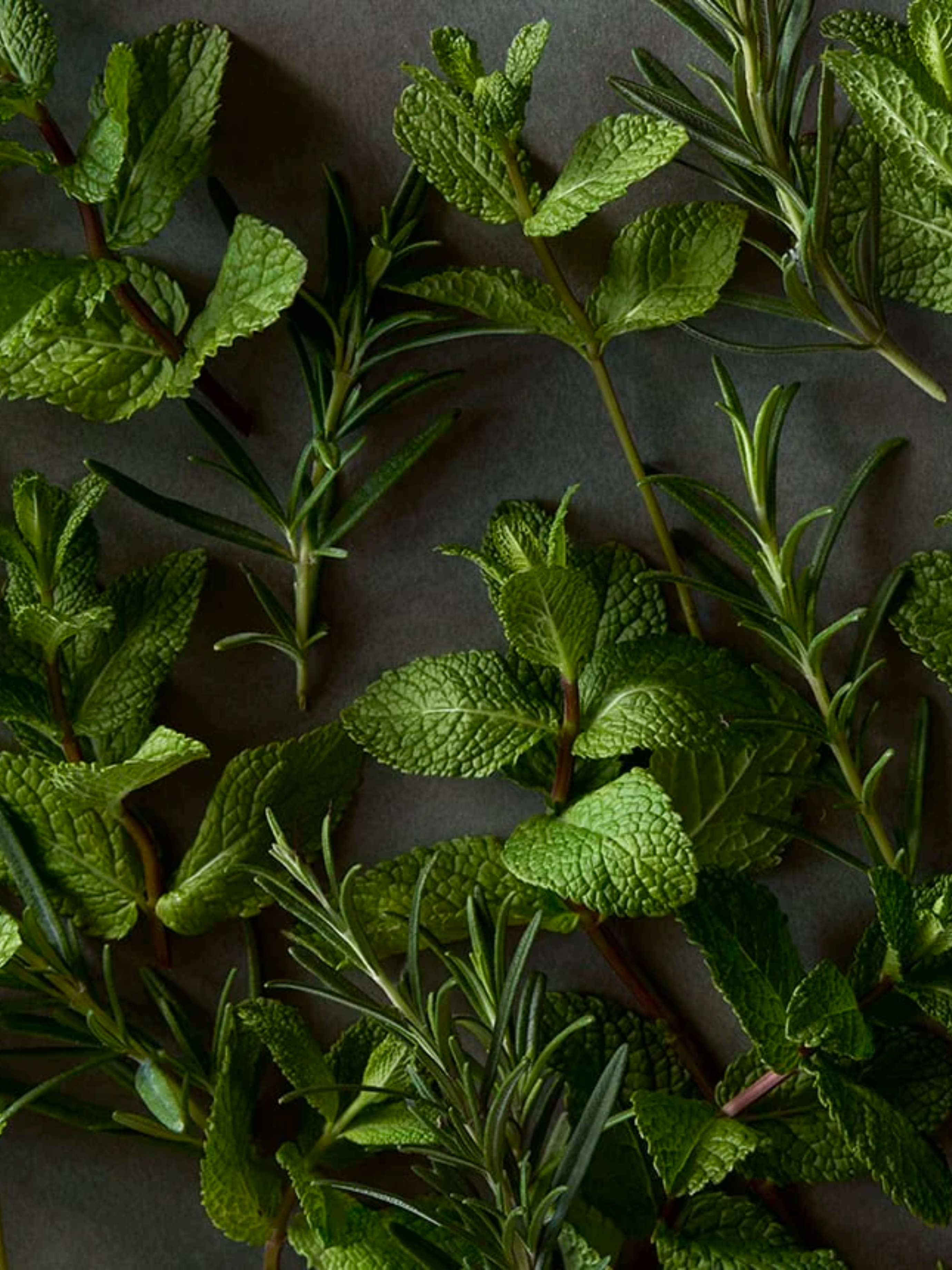 Otella Concentrate Cooling Body Spray - Marathon Size