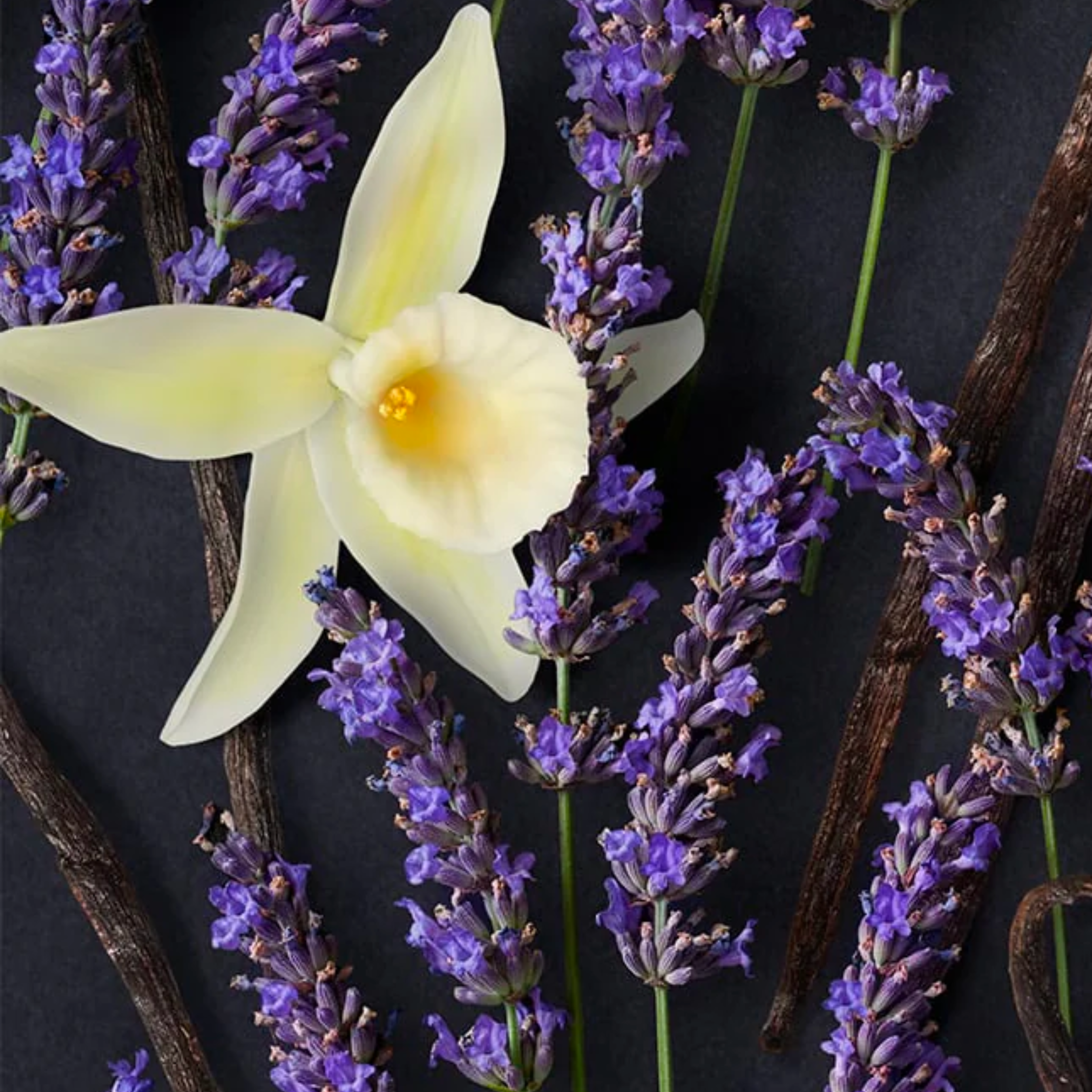 Otella Relax Cooling Body Spray – Marathon Size